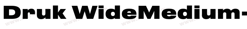 Druk WideMedium字体转换
